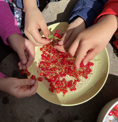Sinnespflege - Johannisbeeren in Schüssel