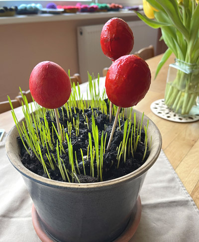 Ostereier leuchten im selbst gesäten Ostergras
